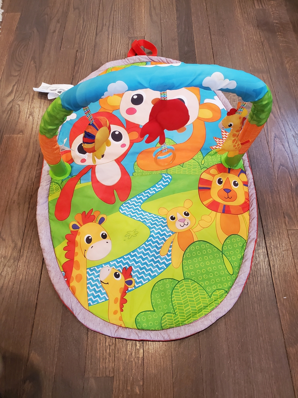 Infantino Explore & Store Jungle Gym